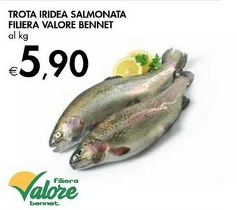 Bennet Valore Bennet Trota Iridea Salmonata Filiera offerta