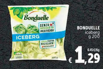 Deco Supermercati Bonduelle iceberg 200 g offerta