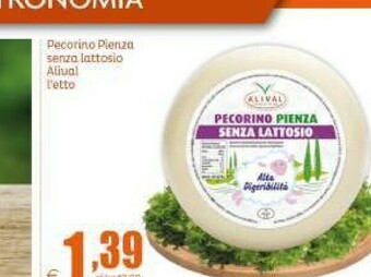 Elite Formaggio offerta
