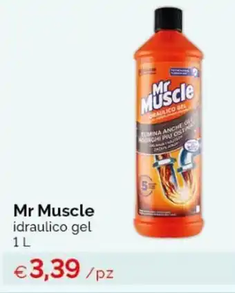 Acqua & Sapone Mr. Muscle idraulico gel 1 L offerta