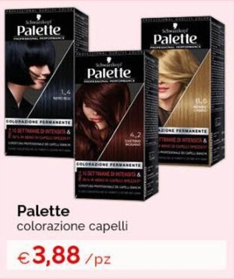 Acqua & Sapone Palette colorazione capelli offerta