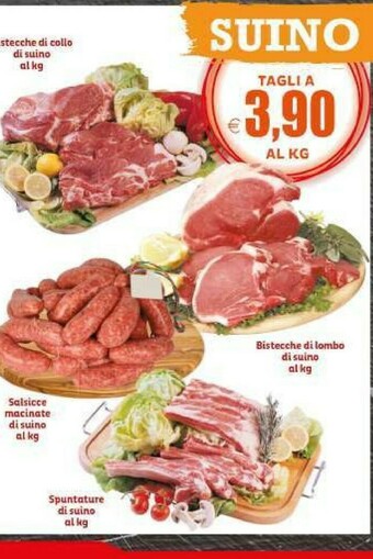 Elite Carne offerta
