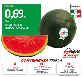 Superconti Nera Origine Coop Anguria Midi offerta