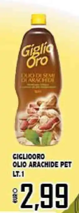 Big Food Giglio Oro Olio Arachide Pet 1lt offerta