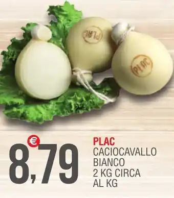 Plac Caciocavallo Bianco 2 kg