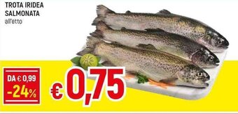 Trota Iridea Salmonata