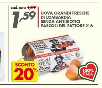 Italmark Lombardi Uova Grandi Fresche Di A Senza Antibiotici Pascoli Del Fattore X 6 offerta