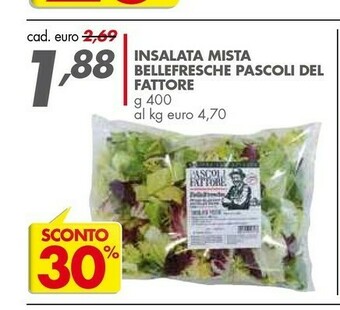 Pascoli Del Fattore Insalata Mista Bellefresche