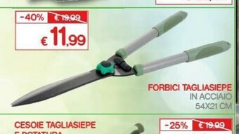 Tagliasiepi