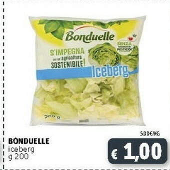 Deco Supermercati Bonduelle Iceberg offerta