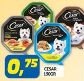 Risparmio Casa Cesar 150gr offerta