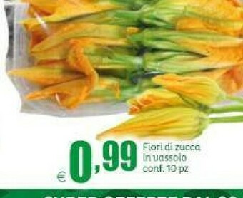 Elite Fiori Di Zucca offerta
