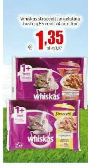 Elite Whiskas Straccetti In Gelatina offerta