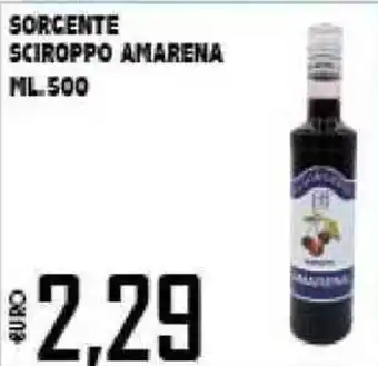 Sorgente Sciroppo Amarena 500ml.