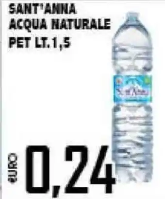Big Food Sant'Anna Acqua Naturale Pet 1,5lt. offerta