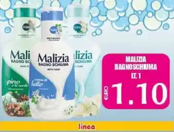 Big Food Malizia Bagnoschiuma 1lt. offerta