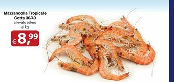 Docks Cash&Carry Mazzancolla Tropicale Cotta offerta