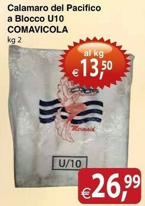 Comavicola Calamaro Del Pacifico A Blocco U10