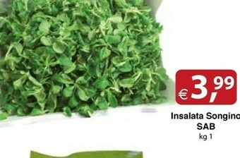 Docks Cash&Carry Sab Insalata Songino offerta