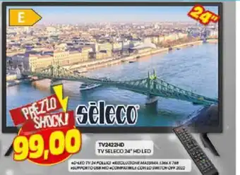 Risparmio Casa Seleco TV 24' HD LED offerta