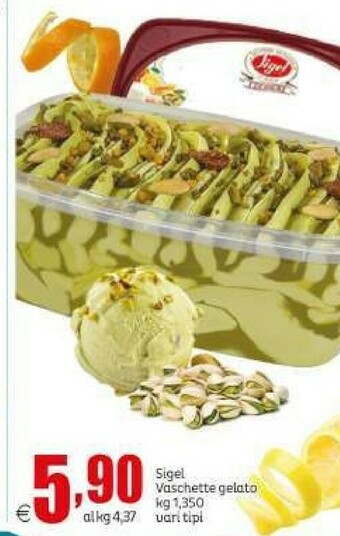 Elite Sigel Vaschette Gelato offerta