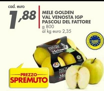 Italmark Mele Golden Val Venosta Igp Pascoli Del Fattore offerta