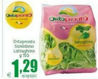 Elite Ortopronto Insalata offerta