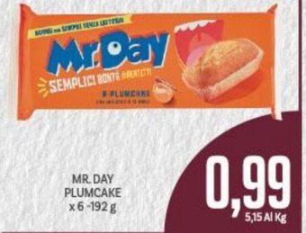 Supermercati Piccolo Mr. Day Plumcake x 6 - 192 g offerta