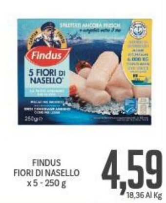 Supermercati Piccolo Findus Fiori Di Nasello x 5 250 g offerta