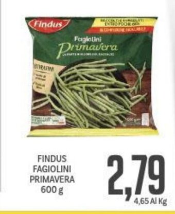Supermercati Piccolo Findus Fagiolini Primavera 600 g offerta