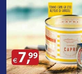 Docks Cash&Carry Capri Tonno All Olio offerta