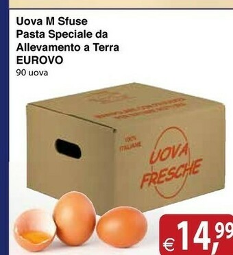 Eurovo Uova M Sfuse Pasta Speciale Da Allevamento A Terra