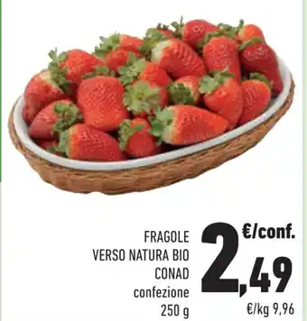 Conad Conad Fragole Verso Natura Bio confezione 250 g offerta