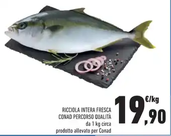 Conad Conad Percorso Qualità Ricciola Intera Fresca da 1 kg circa offerta