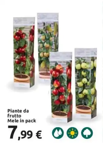 Piante da frutto Mele in pack