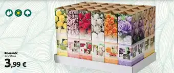 Carrefour Rose mix in scatola offerta
