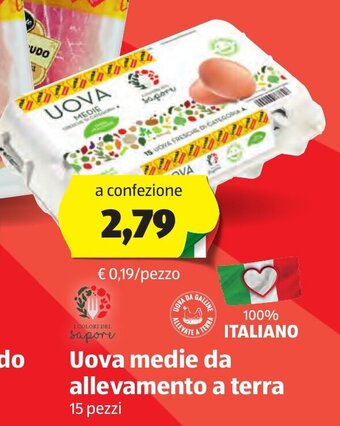 ALDI Uova medie da allevamento a terra 15 pezzi offerta