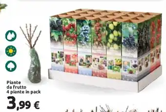 Carrefour Piante da frutto 4 piante in pack offerta