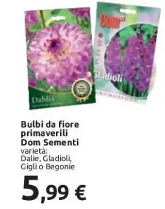 Carrefour Bulbi da fiore primaverili Dom Sementi offerta