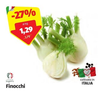 ALDI Finocchi offerta