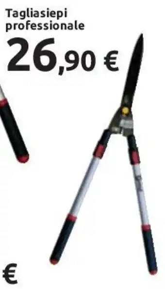 Tagliasiepi professionale