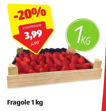 ALDI Fragole 1 kg offerta