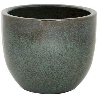 Action Vaso offerta