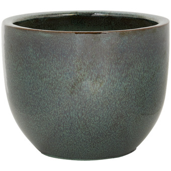 Action Vaso offerta