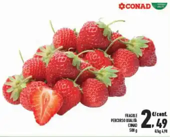 Conad Conad Fragole Percorso Qualità 500 g offerta