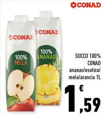 Conad Conad Succo 100% ananas/esotico/mela/arancia 1L offerta