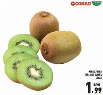 Conad Conad Kiwi Hayward Percorso Qualità offerta