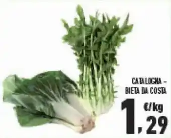 Conad Catalogna Bieta da Costa offerta