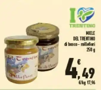 Conad Miele Del Trentino di bosco - millefiori 250 g offerta