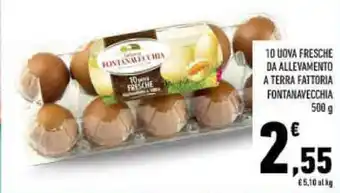 Conad Fontanavecchia 10 Uova Fresche Da Allevamento A Terra Fattoria 500 g offerta